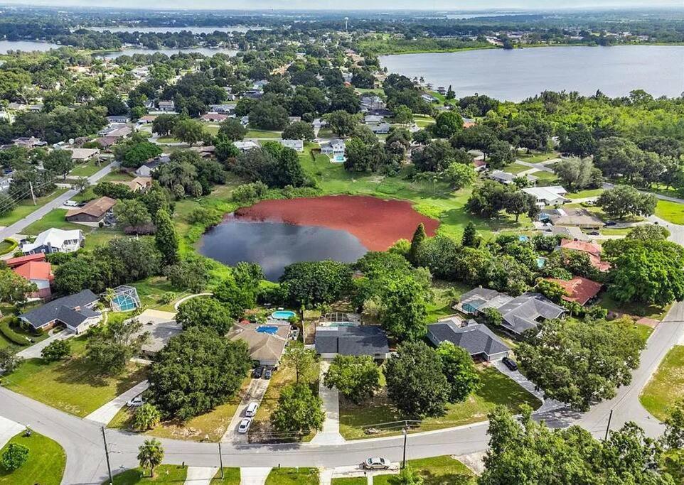 Cozy Lakefront Home W/ Pool -7 Mins From Legoland Winter Haven Dış mekan fotoğraf
